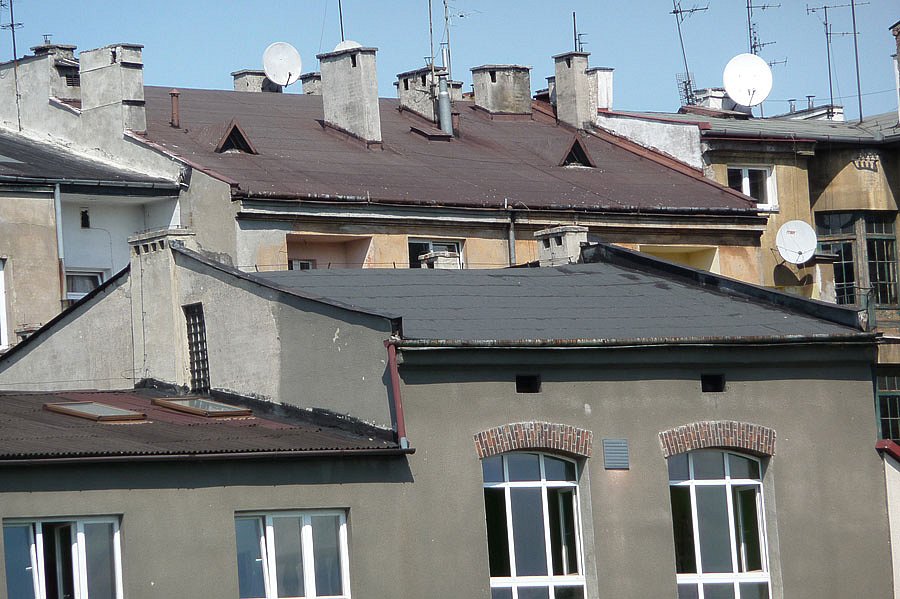 P1000217.jpg