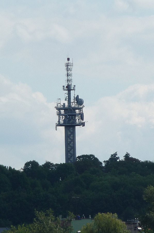 P1000231.jpg