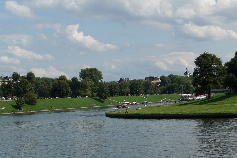 P1000237.jpg