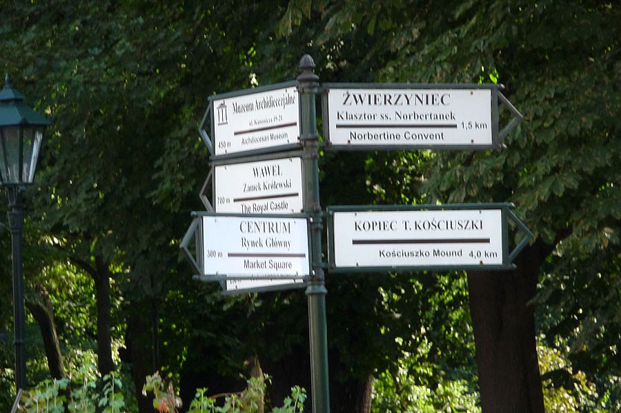 P1000242.jpg
