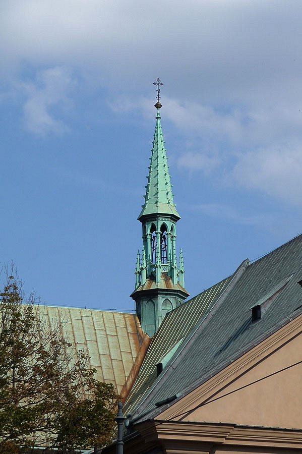 P1000244.jpg