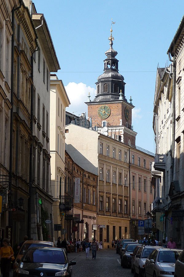 P1000247.jpg