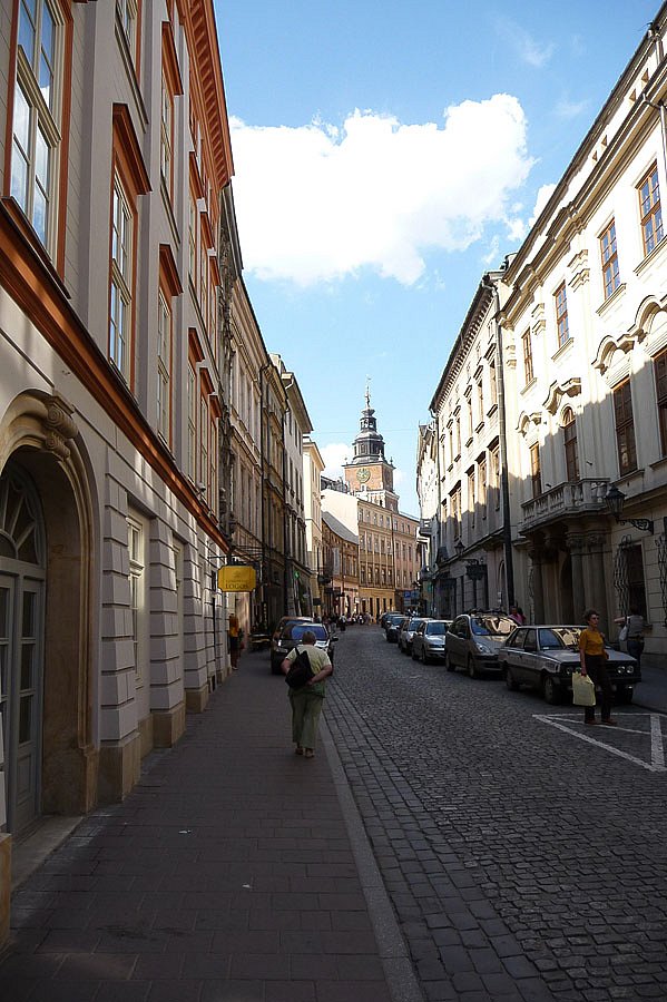 P1000248.jpg