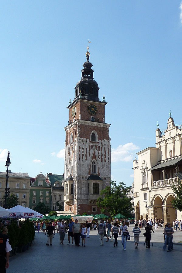 P1000252.jpg