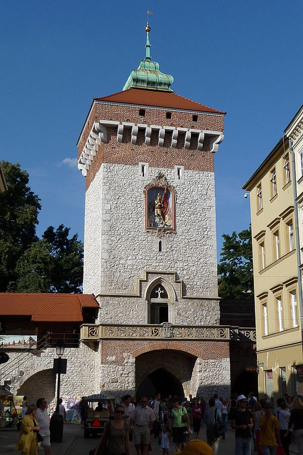 P1000261.jpg