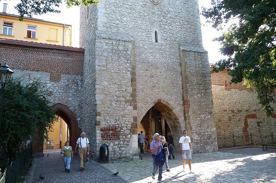 P1000262.jpg