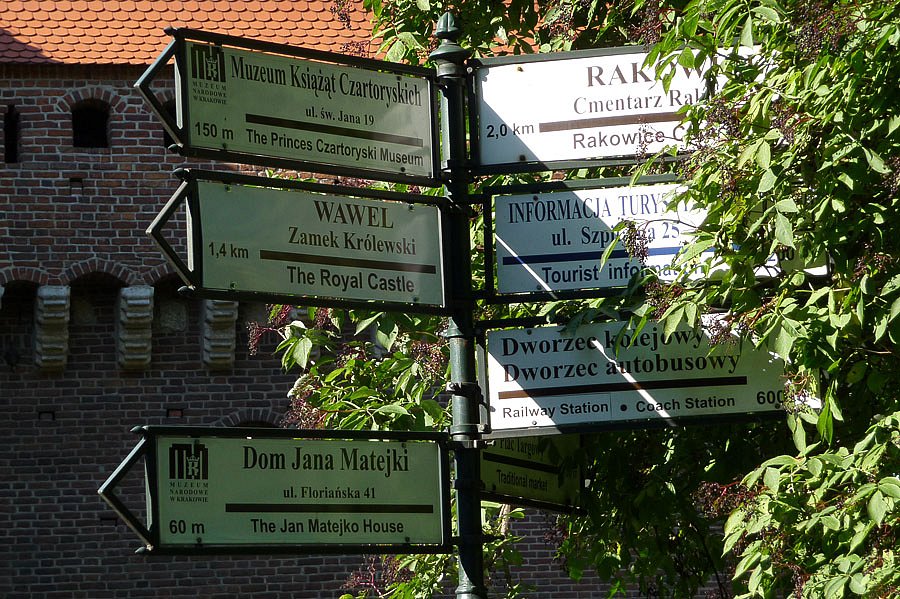 P1000265.jpg