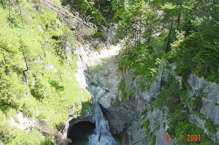 dsc00270.jpg