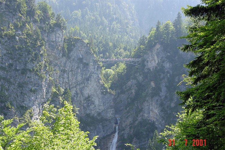 dsc00274.jpg