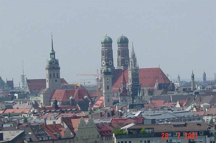 dsc00131.jpg