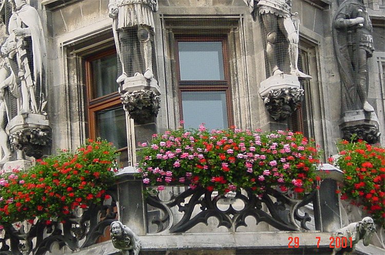 dsc00146.jpg