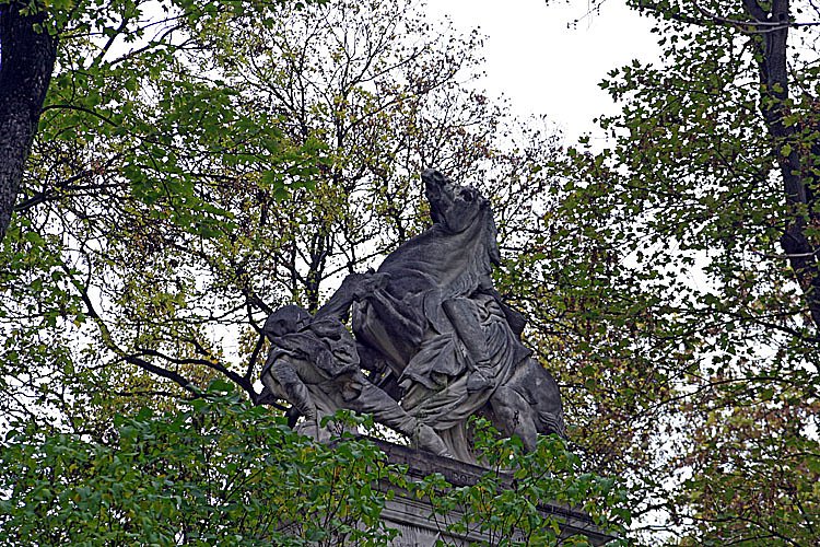 crw-28204.jpg