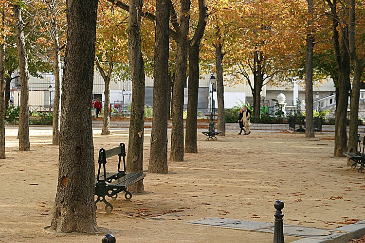 crw-28028.jpg