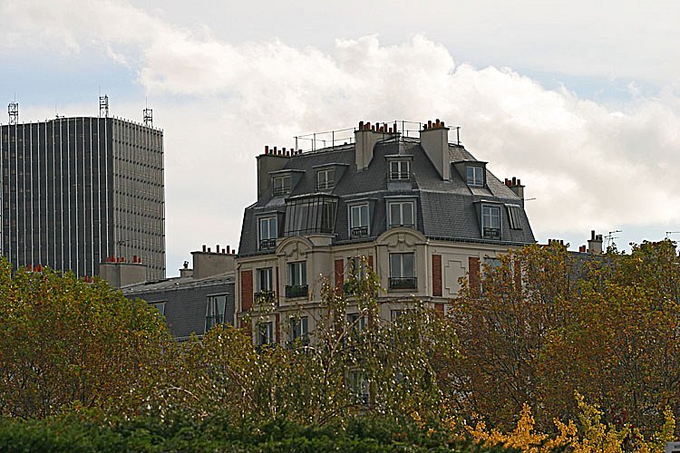 crw-28049.jpg