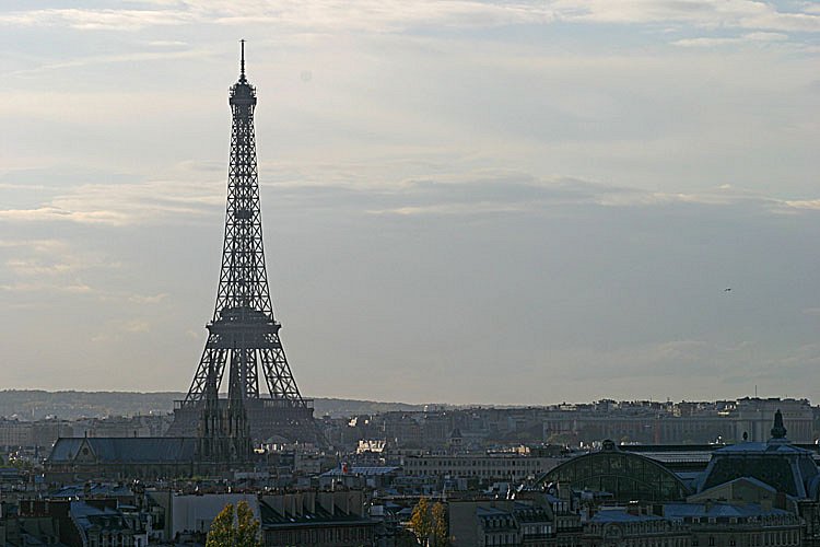 crw-28062.jpg
