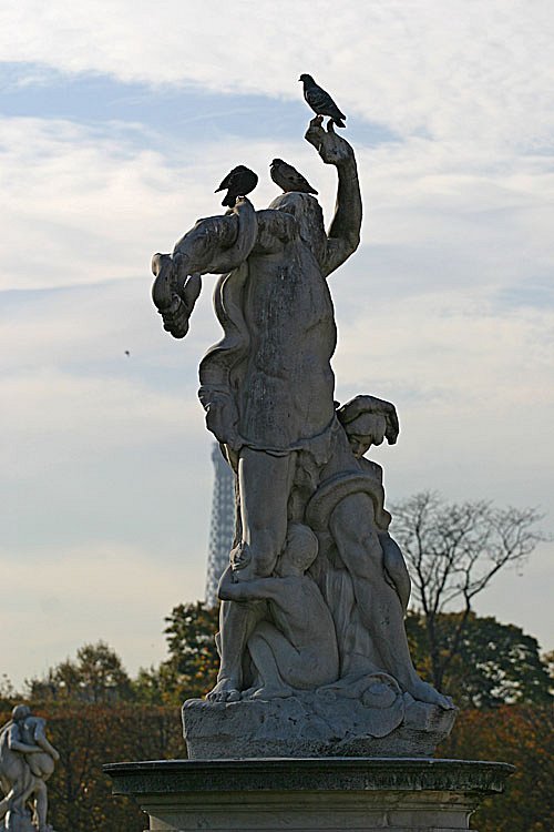 crw-28118.jpg