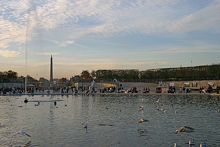 crw-28123.jpg