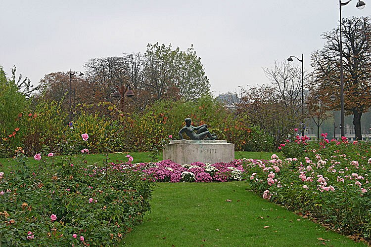 crw-28141.jpg