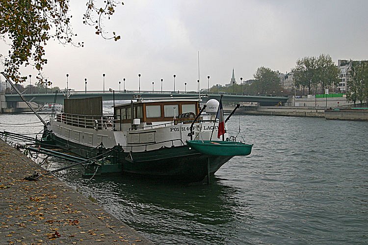 crw-28146.jpg