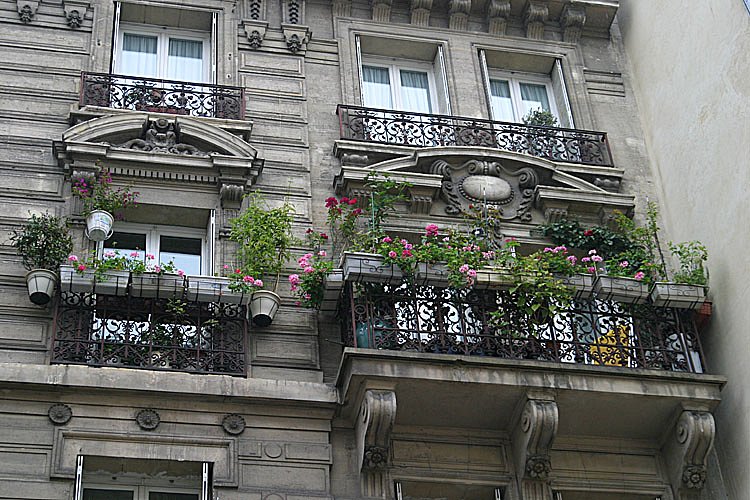 crw-28185.jpg