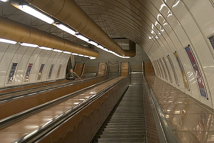crw-2879.jpg