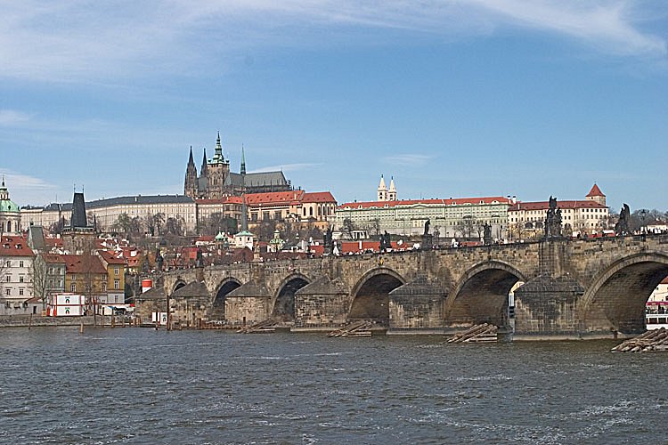 crw-2629.jpg