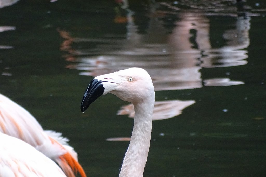 DSC00018.JPG