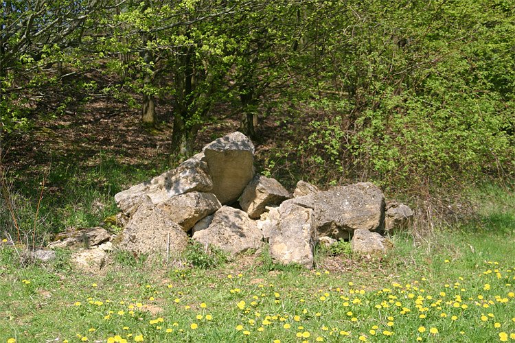 Detmold 2005