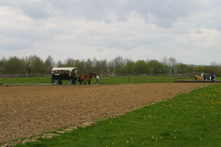 crw-0924-rt16.jpg