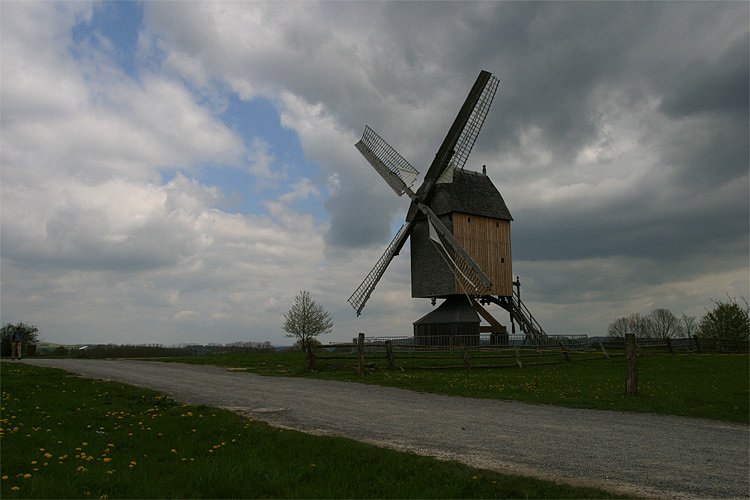 crw-0930-rt16.jpg