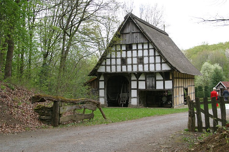 crw-0972-rt16.jpg
