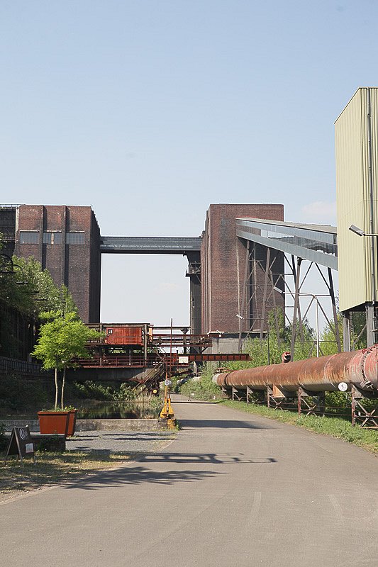 IMG-1689.jpg