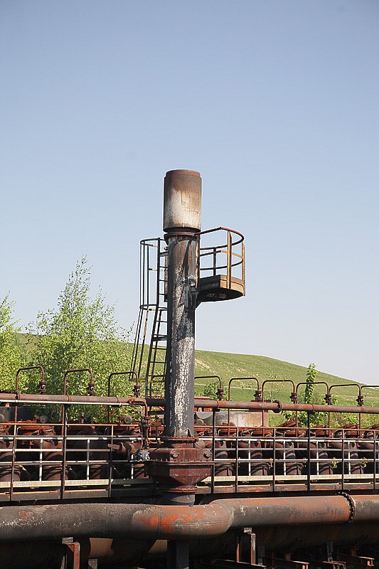 IMG-1704.jpg