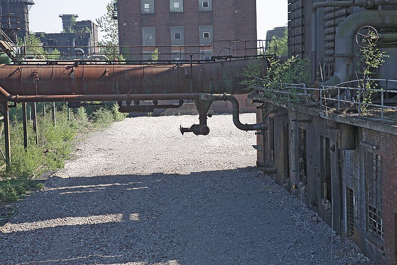 IMG-1717.jpg