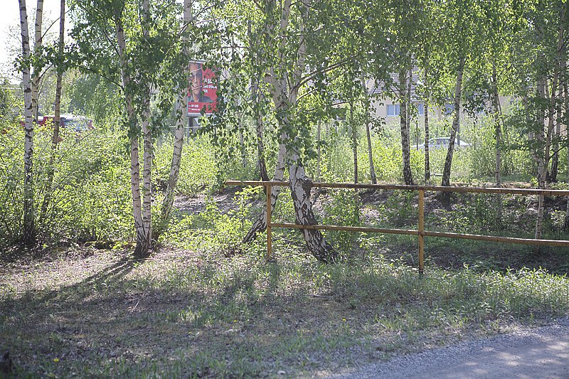 IMG-1685.jpg