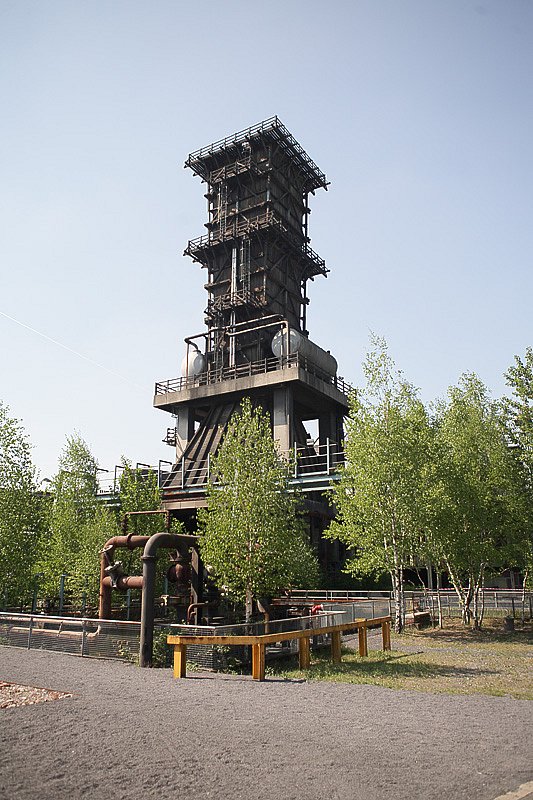 IMG-1686.jpg
