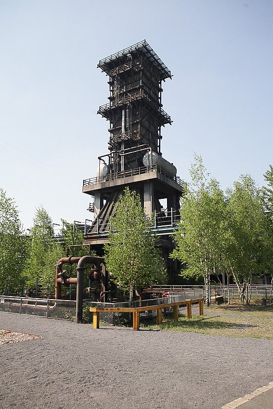 IMG-1687.jpg