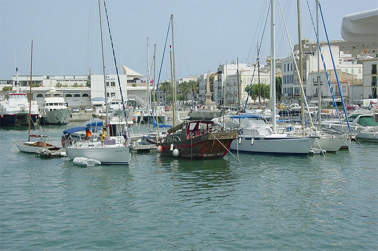 dsc00563.jpg