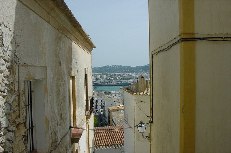 dsc00474.jpg