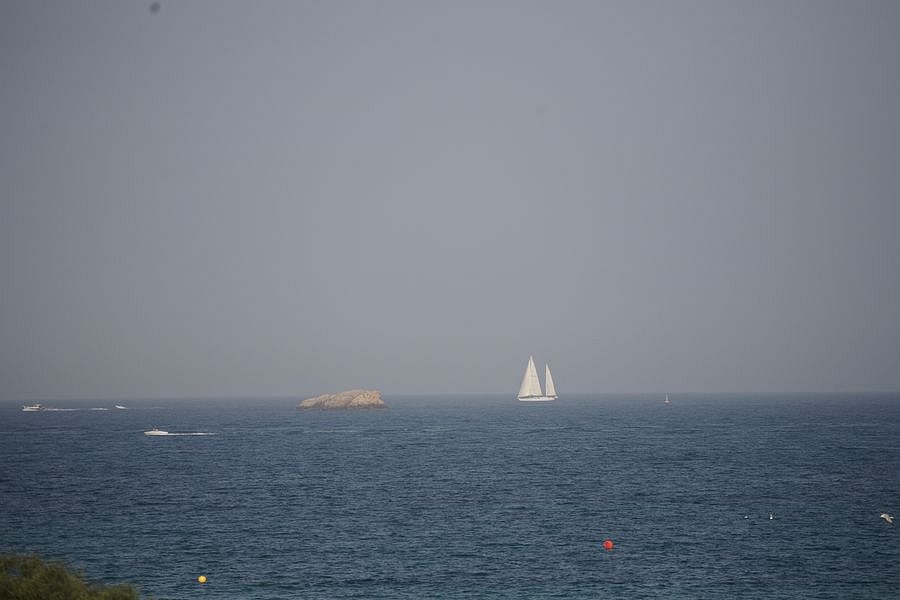 IMG-1351.JPG