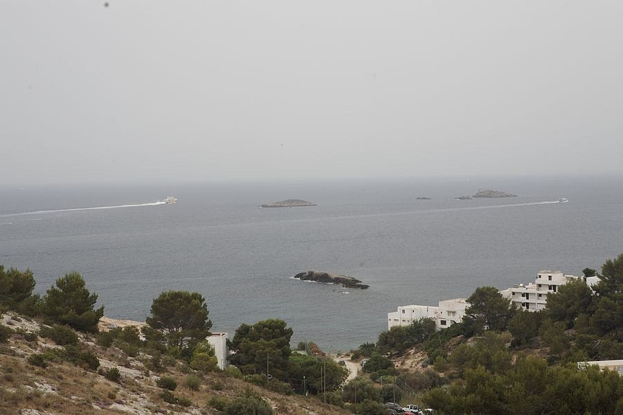 IMG-1375.JPG
