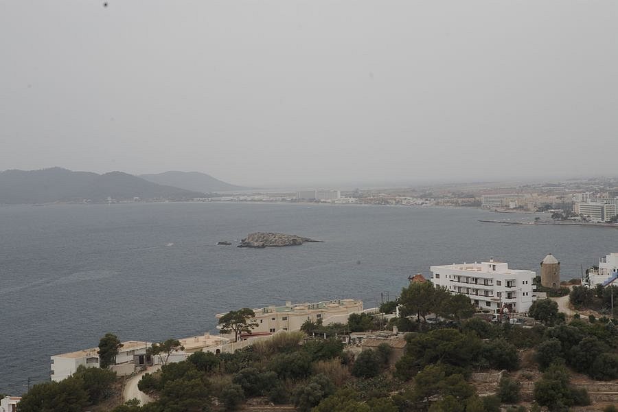 IMG-1383.JPG