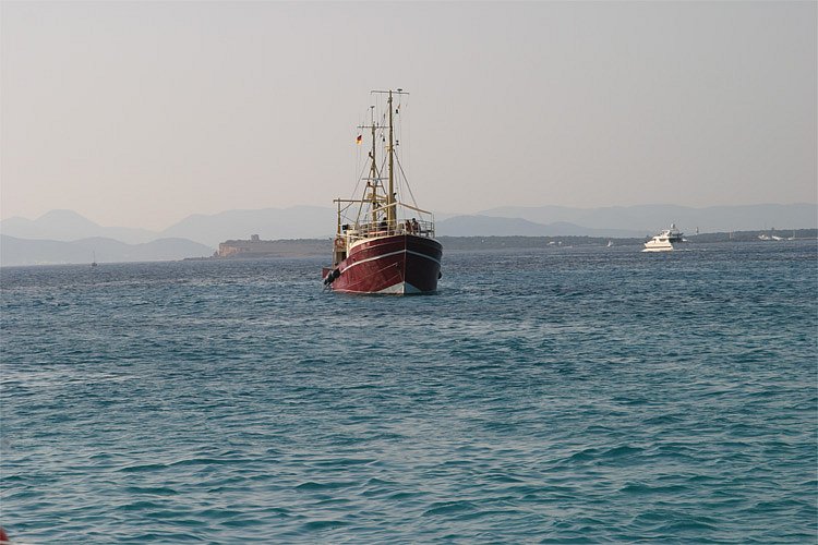 crw-1115-rt16.jpg