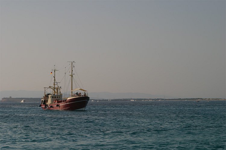 crw-1119-rt16.jpg