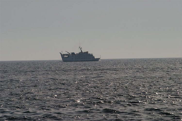 crw-1121-rt16.jpg
