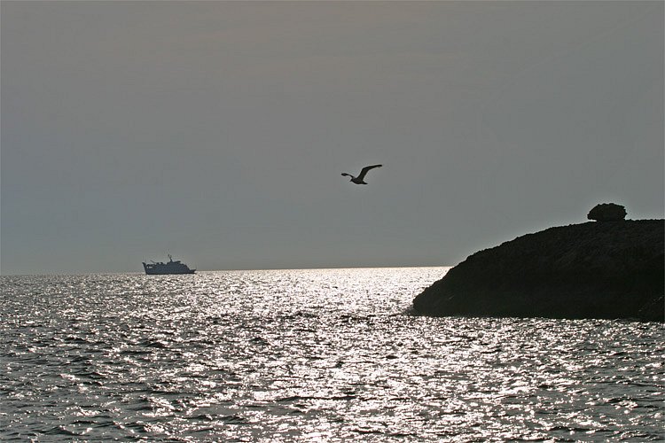 crw-1124-rt16.jpg