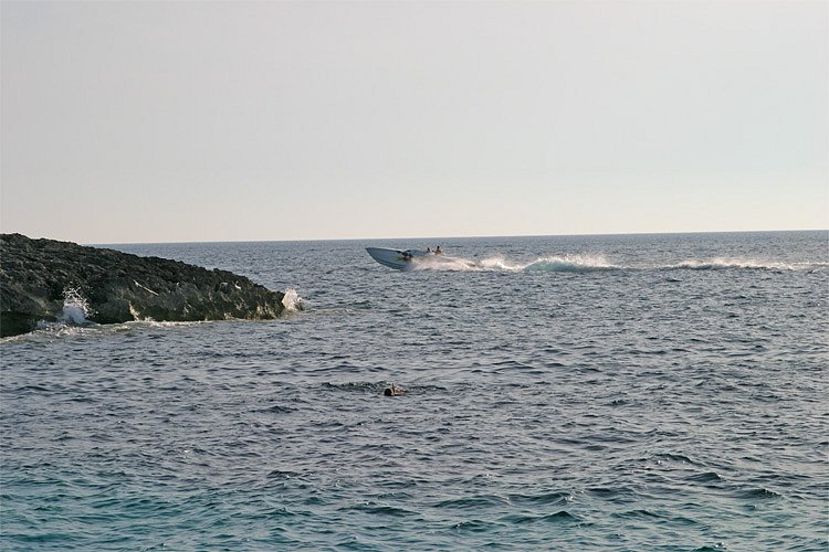 crw-1137-rt16.jpg