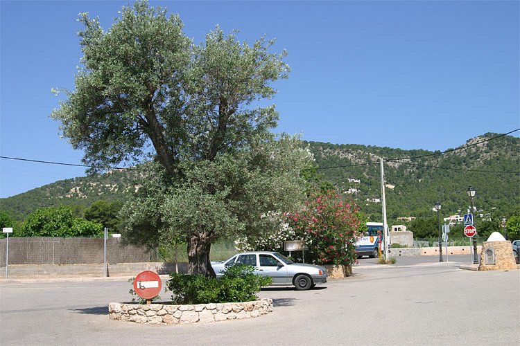 crw-1017-rt16.jpg