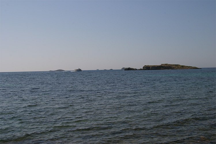 crw-1049-rt16.jpg