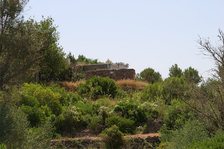 crw-1069-rt16.jpg